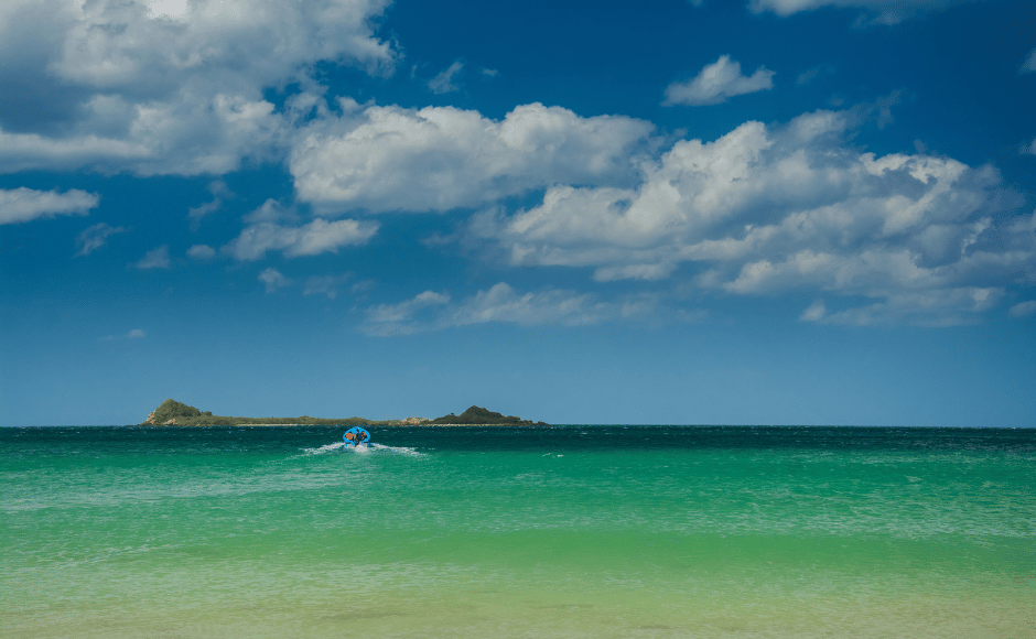 isola pigeon da distanza